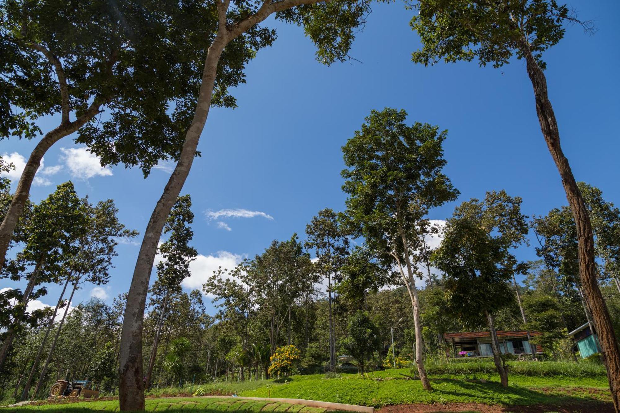 Phu Pha View Doi Ξενοδοχείο Samoeng Εξωτερικό φωτογραφία