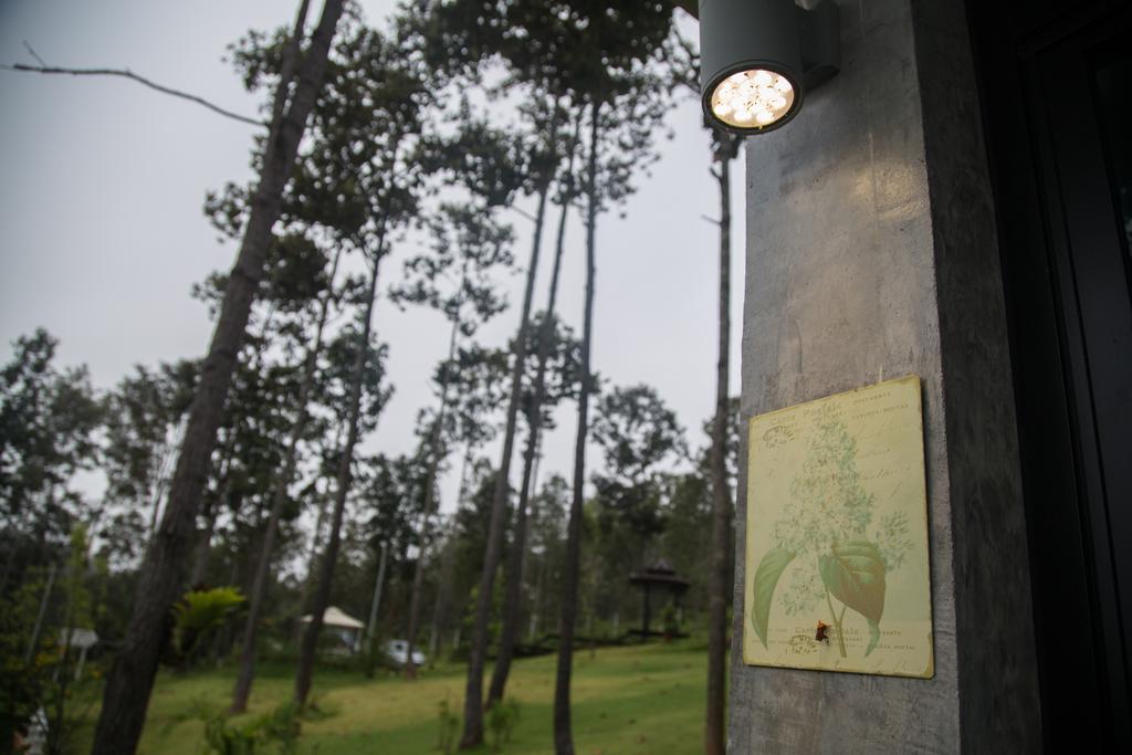 Phu Pha View Doi Ξενοδοχείο Samoeng Εξωτερικό φωτογραφία